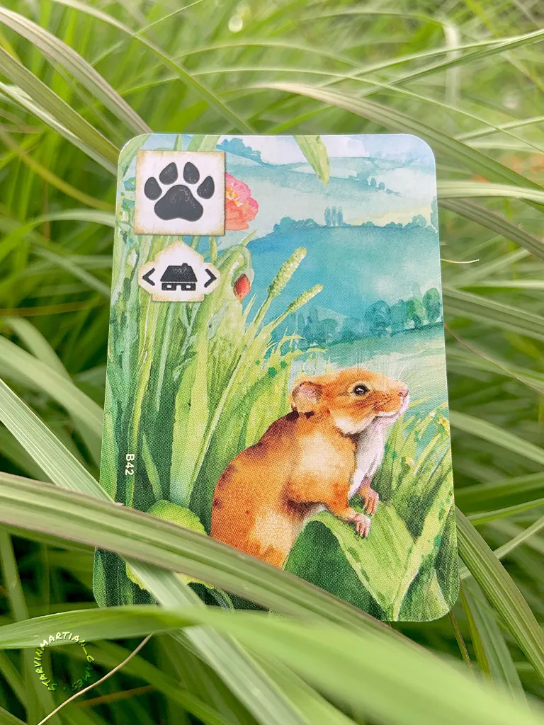 [US] Meadow - Trò Chơi Board Game
