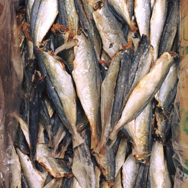 100g Cá khô nục chất lượng thơm ngon, giữ vị cá nục đặc trưng, cá nhạt_ đặc sản xứ Nghệ