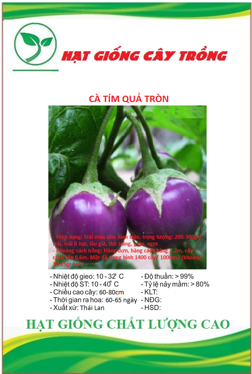 Hạt giống cà bát tím quả tròn ct263 - gói 0.5gram