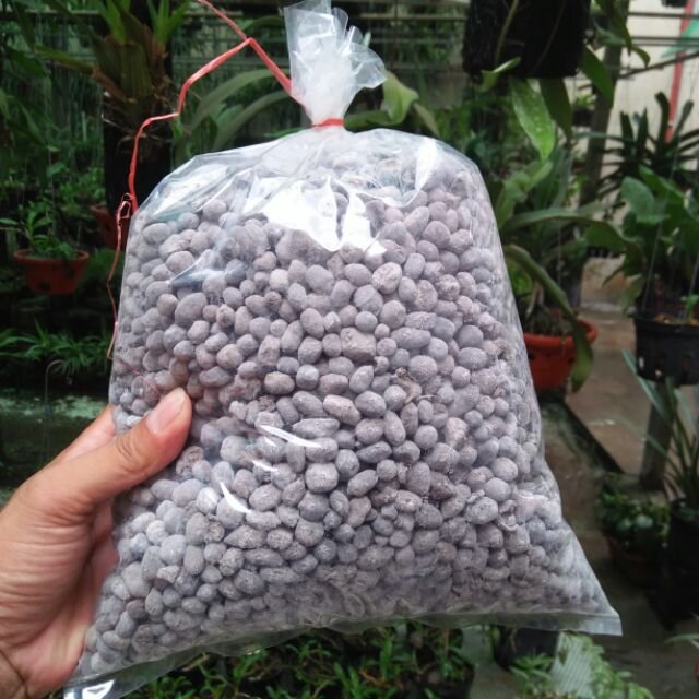 Phân Dê Đã Xử Lý