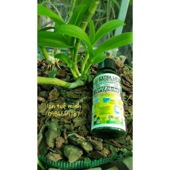 Kích thích tăng trưởng Hoa lan Superthrive 50ml