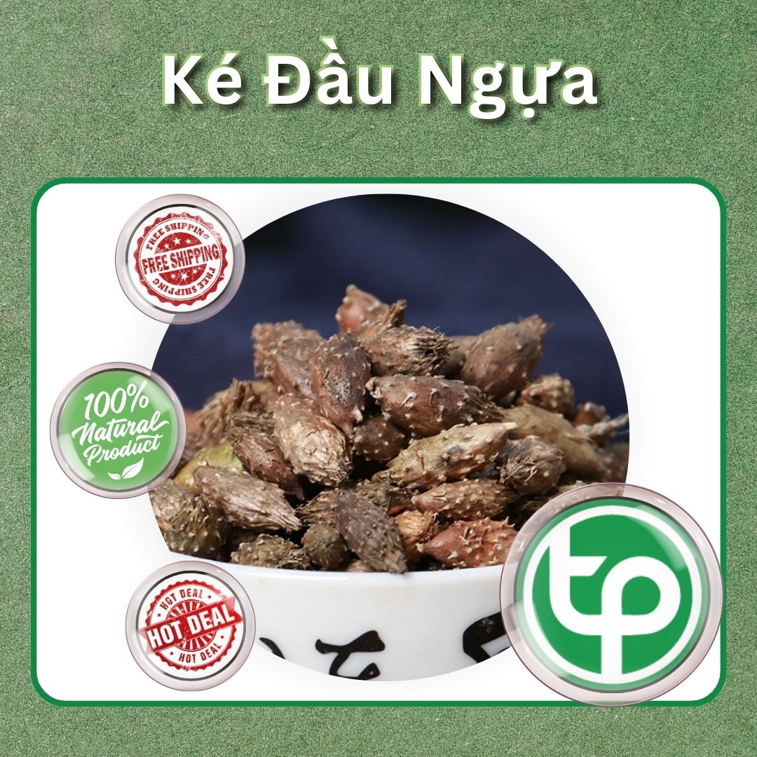 [Túi lớn loại 1kg] Ké đầu ngựa khô - Thảo Dược Tấn Phát - hỗ trợ cải thiện sức khoẻ giúp giảm đau răng và nấm tóc cực kỳ hiệu quả
