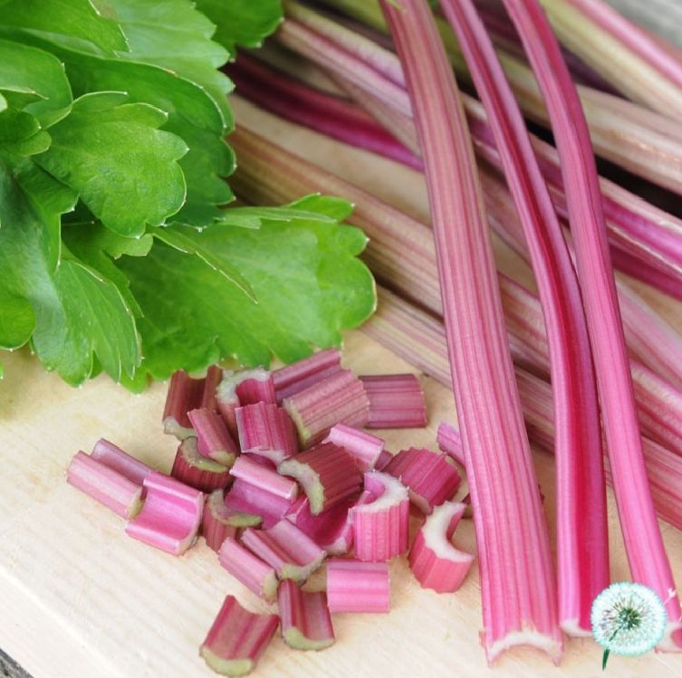 Combo 2 gói hạt giống rau cần tây đỏ