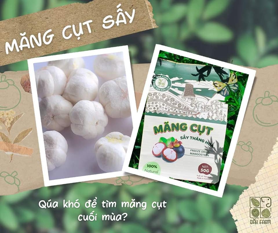 MĂNG CỤT SẤY THĂNG HOA- ĐẮK FARM (50Gr)