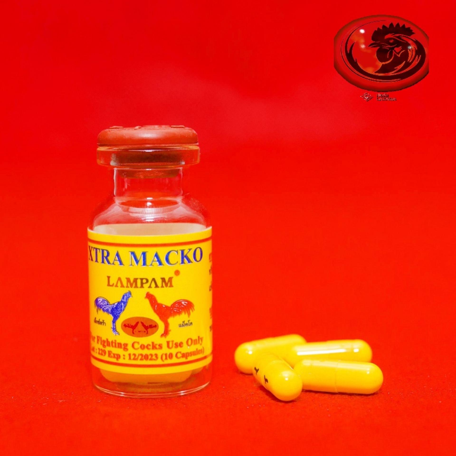 Xtra Macko - Nhộng vàng CHIẾC LẼ 2 VIÊN dành cho gà đá