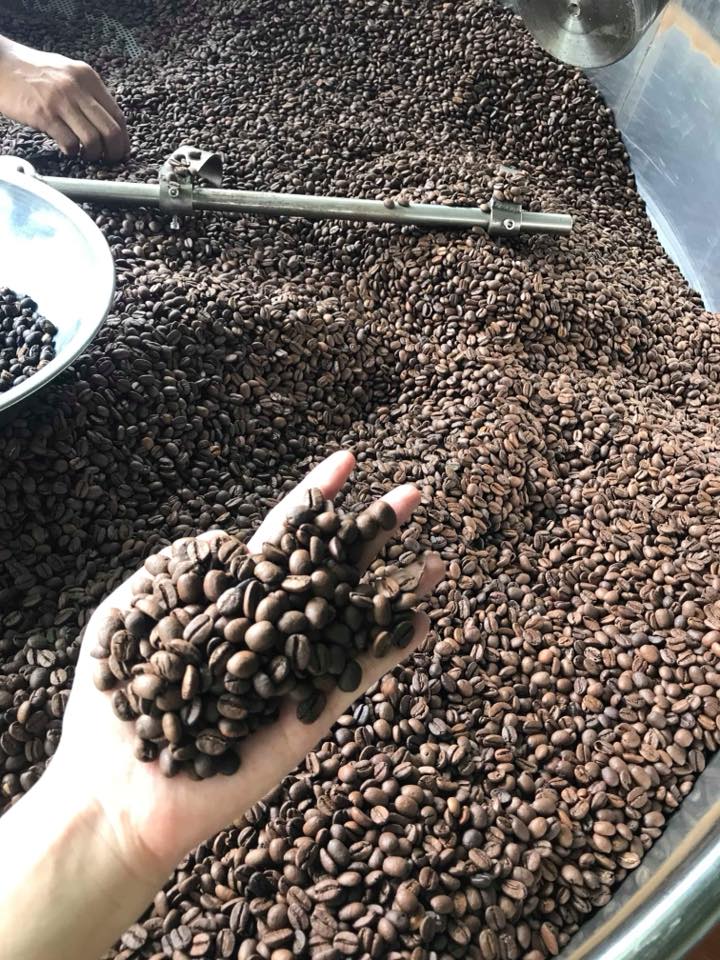 5KG Cà phê ROBUSTA hạt / bột Mộc Nguyên Chất Đăk Lăk - Cà phê rang xay mộc pha phin/pha máy