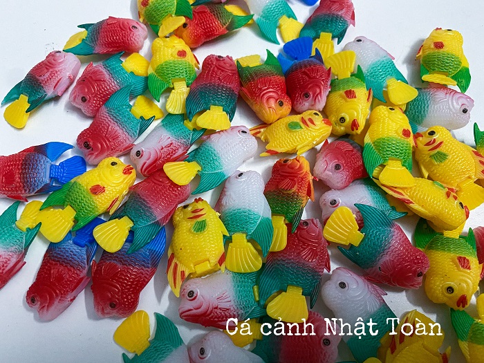 "hoàn tiền đến 10%" cá la hán giả nhỏ làm cá kè cho la hán