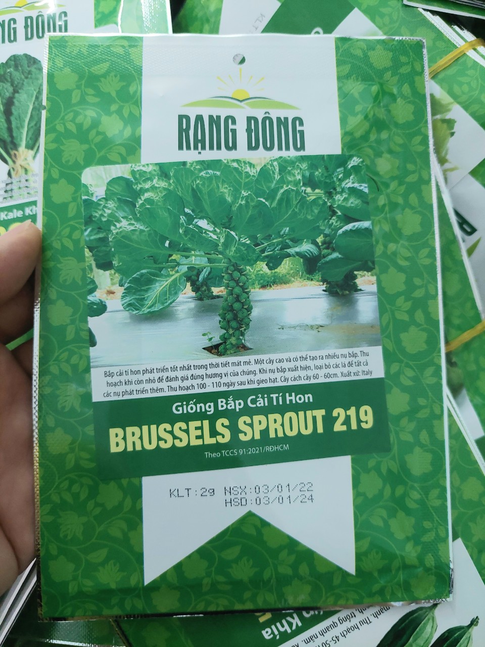 [Seeds] Hạt giống bắp cải tí hon RD219, đóng gói 2gr