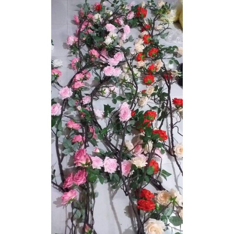 dây leo hoa hồng