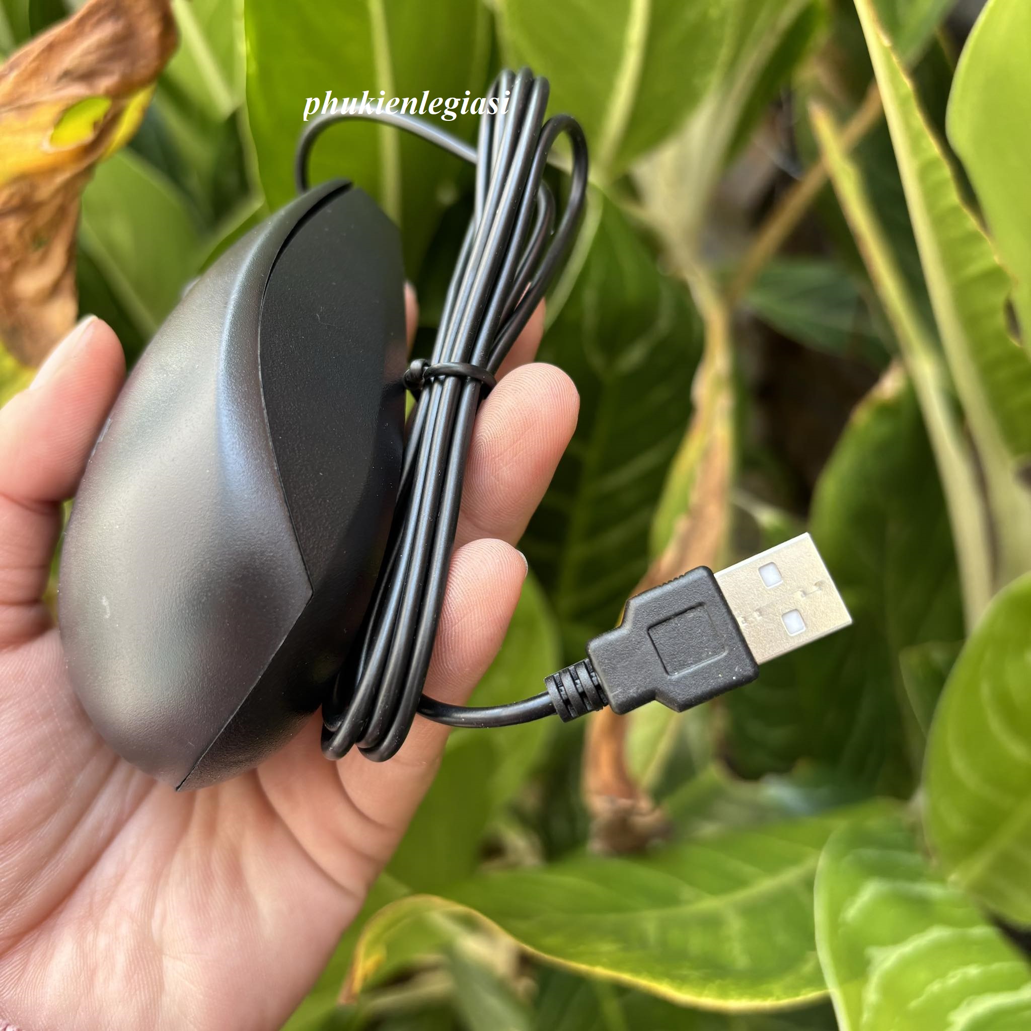 Chuột DELL MS111 Văn Phòng, Chơi Game