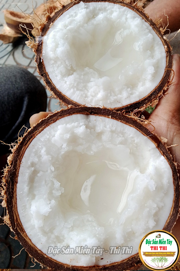 Dừa Sáp Cầu Kè - Đặc Sản Trà Vinh (Nhiều Loại)