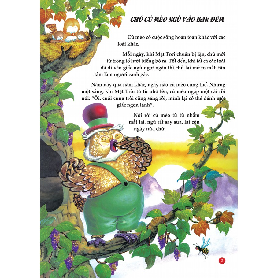 Sách - Con Sói Ăn Củ Cà Rốt (Bìa Mềm)