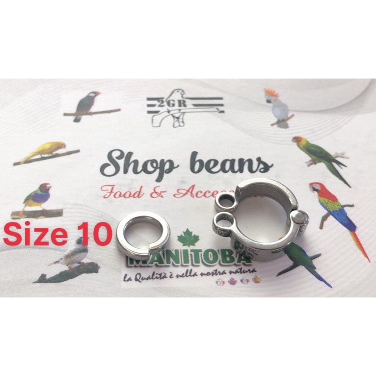 Vòng chân ( nhẫn ) cho vẹt dùng cho xích chân