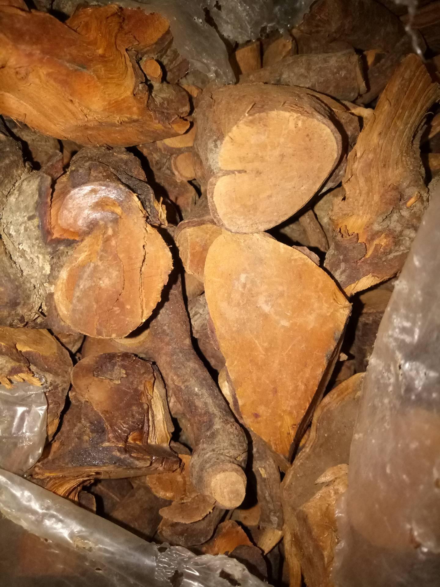 [HCM]Rể cây Mú Từn - 100% Rể ( Loại VIP 1kg)