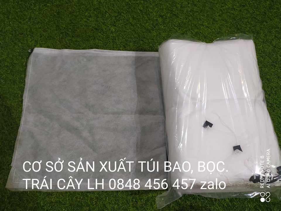 100 CÁI TÚI BAO,BỌC BƯỞI,DƯA LƯỚI 35*40