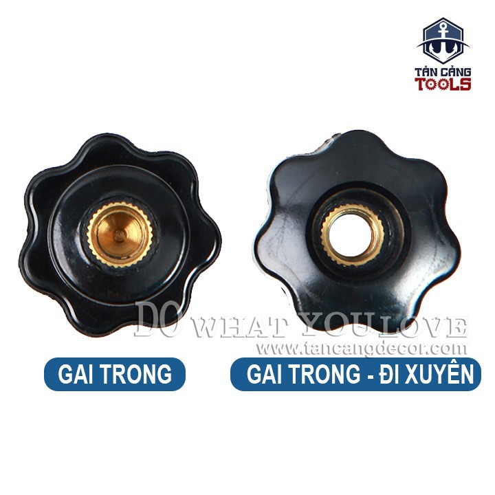 Núm Vặn Gai Trong