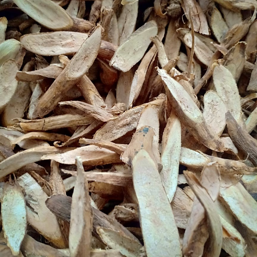 500gr củ gai khô dưỡng thai an thai