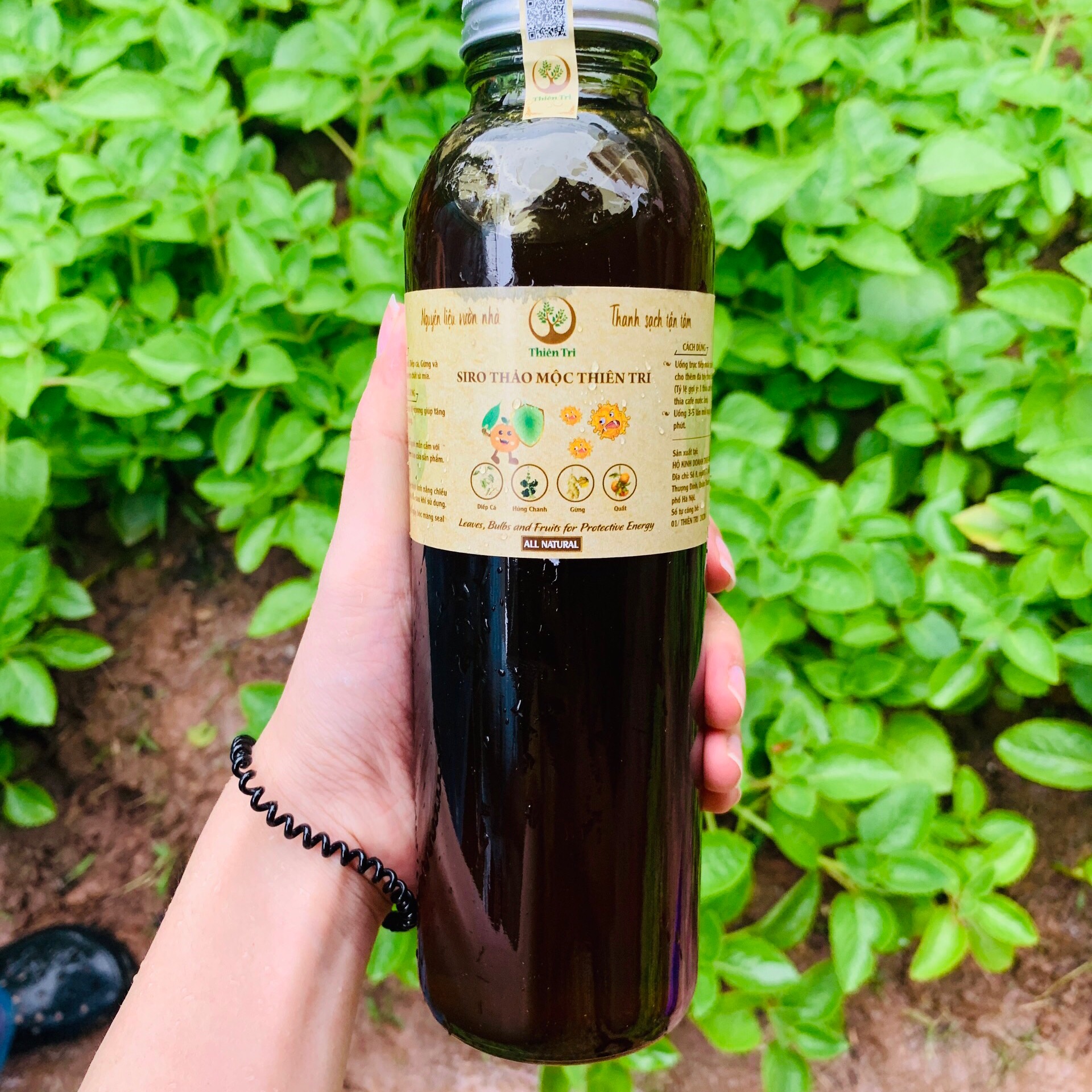 Siro ho húng chanh Thảo mộc sạch Thiên Tri 500ml