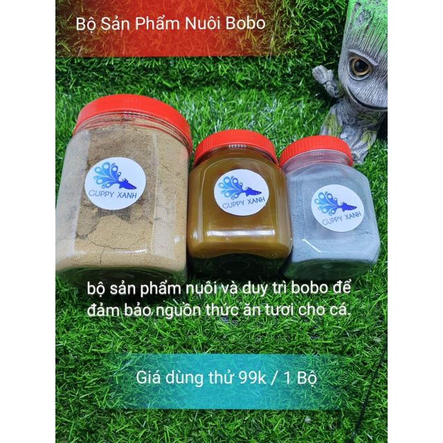 Nuôi kích tạo bobo (trứng nước) chủ động nguồn thức ăn cho cá cảnh cam kết hàng đúng mô tả chất lượng đảm bảo