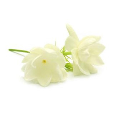 Tinh Dầu Hoa Lài - Jasmine Chai 10ml