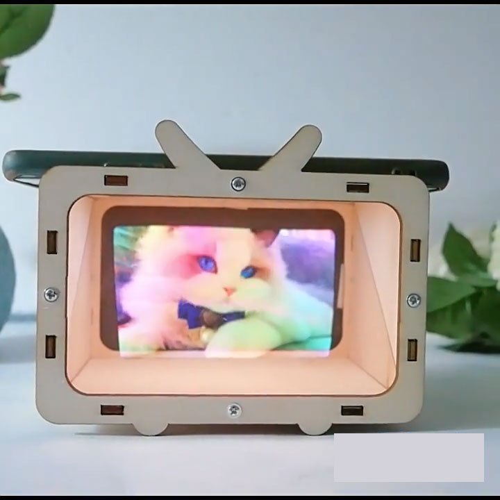 Educational 3D hologram player DIY wooden model stem
