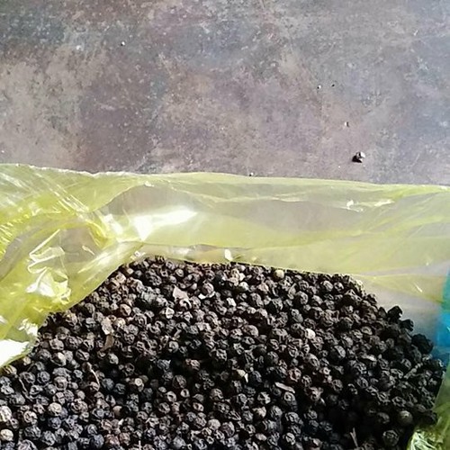 hạt tiêu đen Đăk Lăk chắc hạt 500g - tiêu