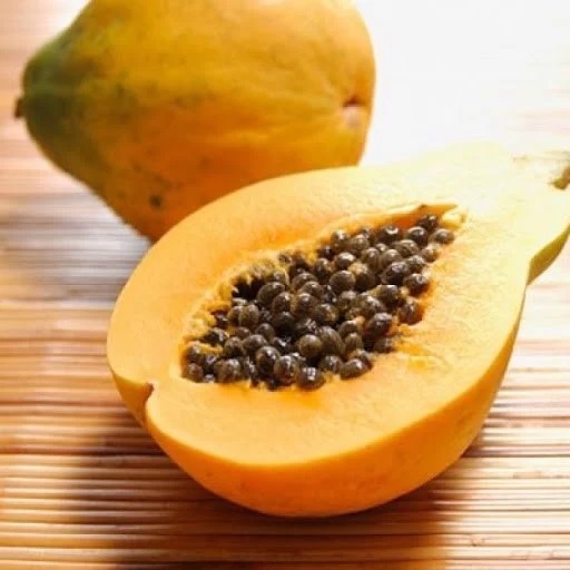 Cây Giống Đu Đủ Lùn