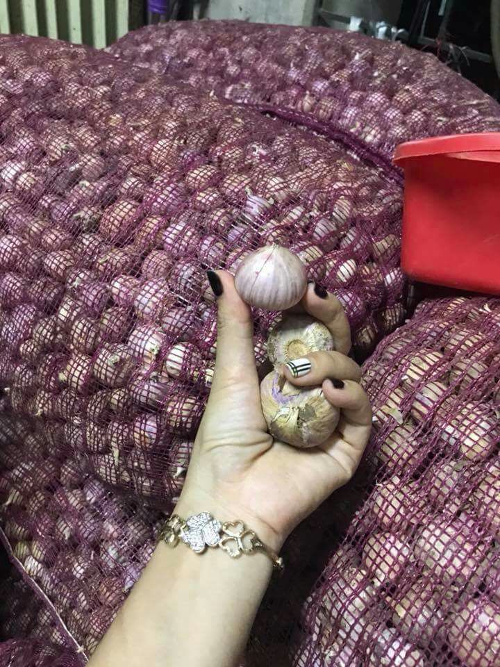 1,5kg tỏi cô đơn