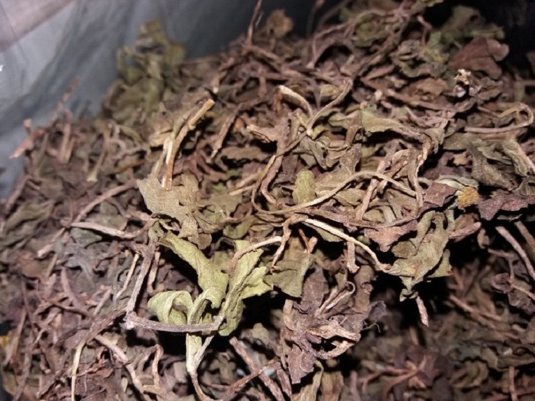 Cây Sài Đất khô 500g GT307
