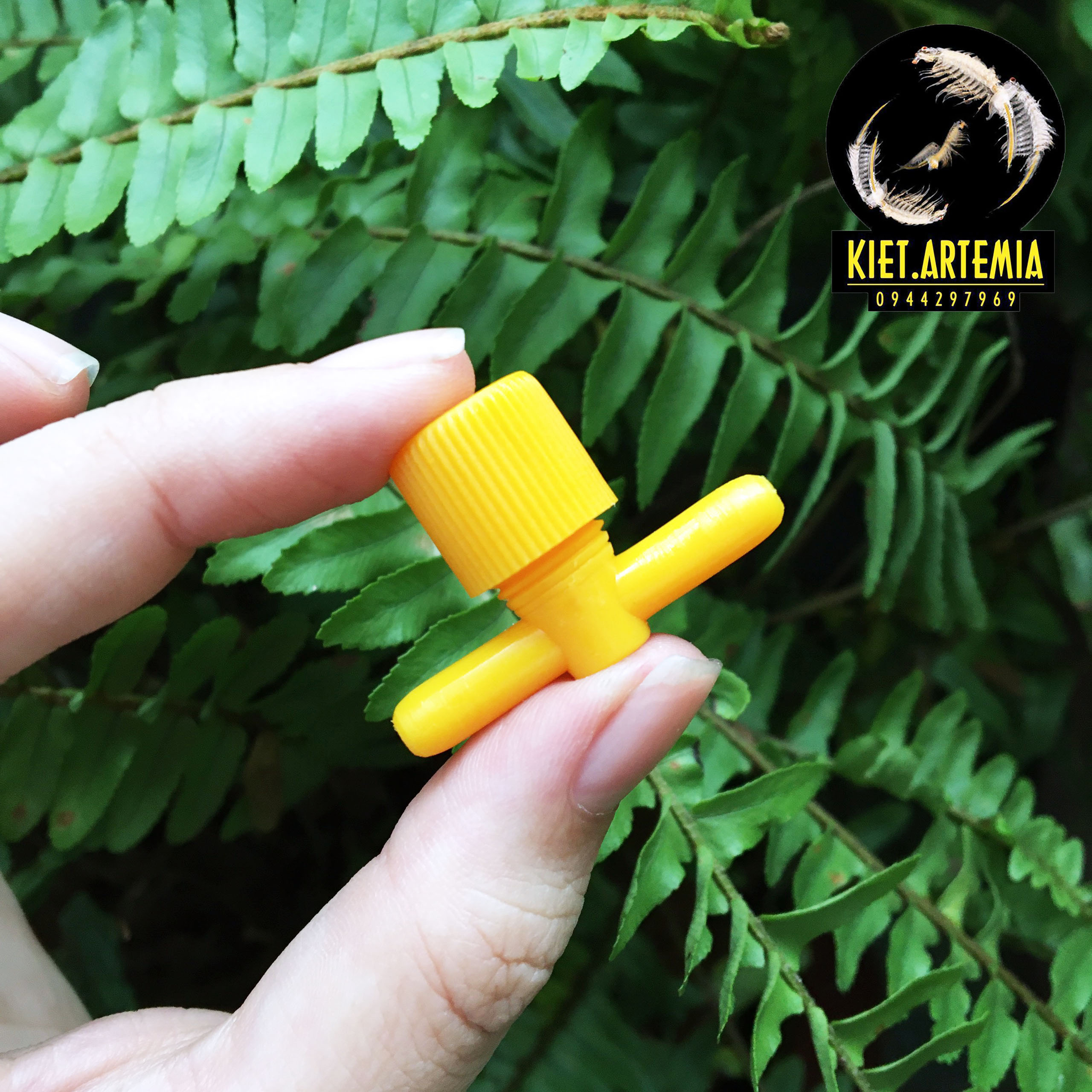 Bộ Ấp Artemia- Dụng Cụ Ấp Artemia