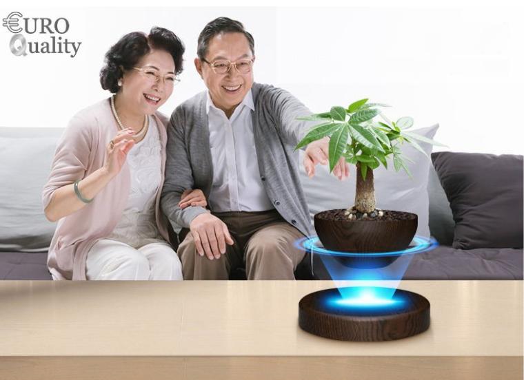 Euro Quality - Cây bonsai bay lơ lửng vân gỗ Đen