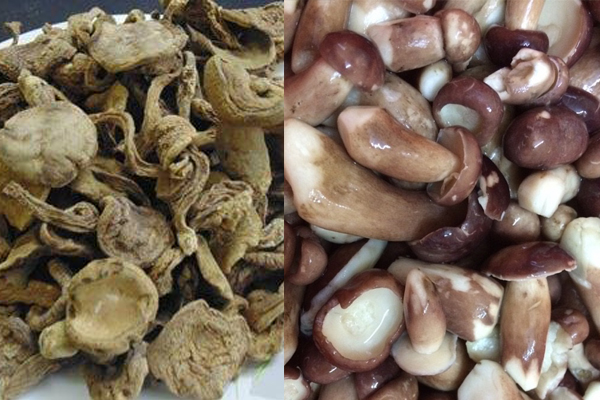 500g nấm tràm khô