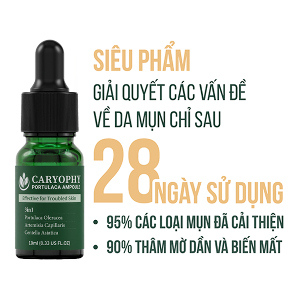 Combo chăm sóc da giảm mụn mờ thâm Caryophy Portulaca (Serum giảm mụn 10ml - Toner không cồn 300ml)