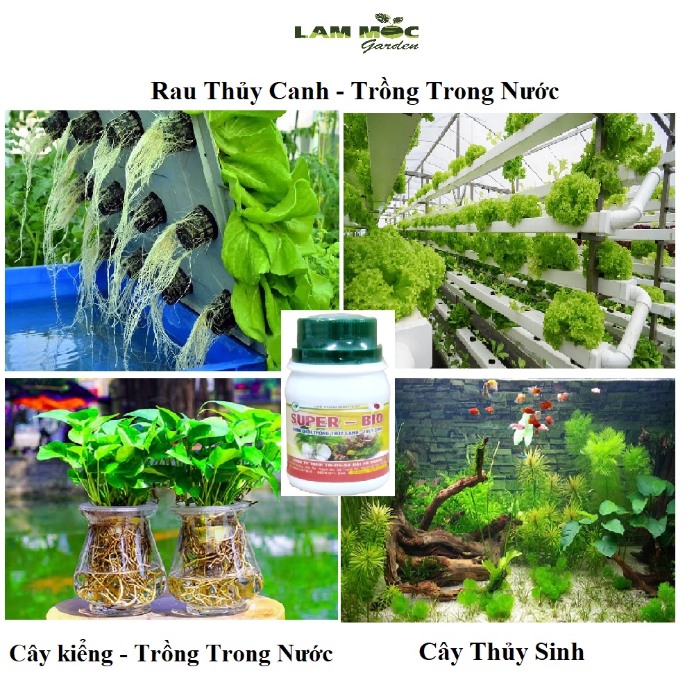 Dung Dịch Trồng Thủy Canh - Thủy Sinh Super BIO 100ml
