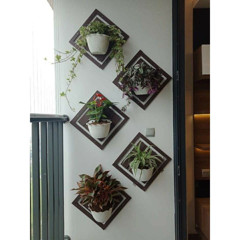 Chậu trồng hoa ốp tường - chậu treo tường