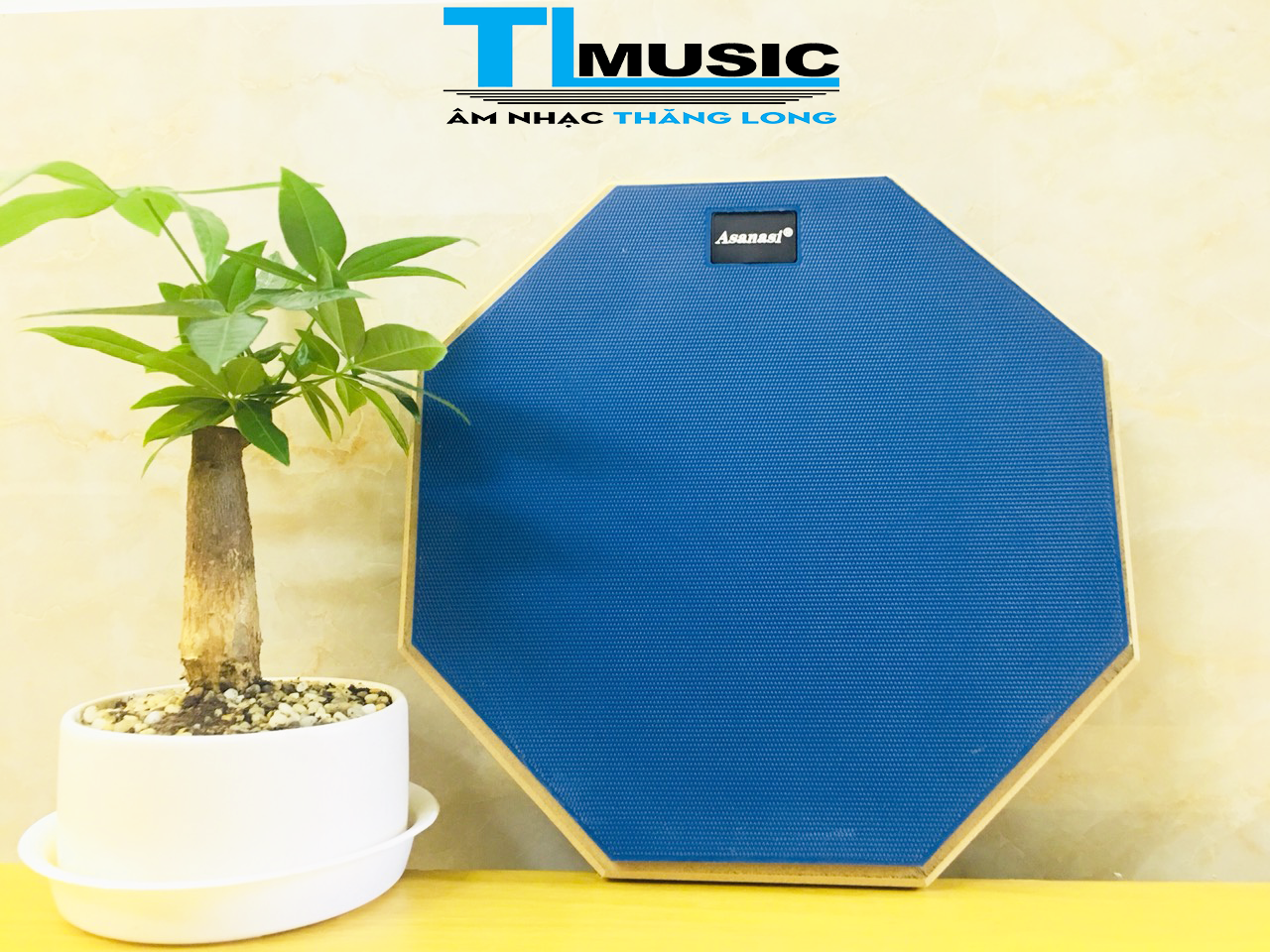 Mặt PAD Tập Trống 12inch ( Miếng Đệm Tập Trống) Asanasi PAD12 (PAD 12)