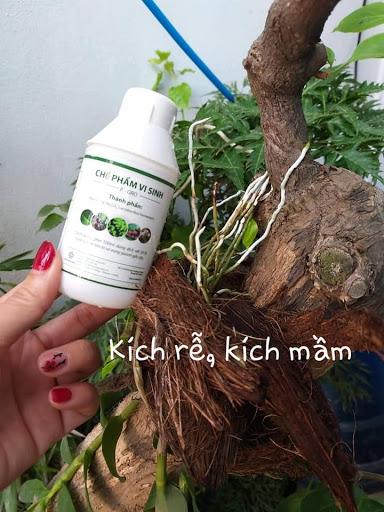 Chế phẩm vi sinh p-gro từ đậu tương loại tốt