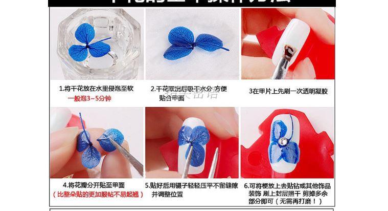 Set 12 màu hoa khô Nhật Bản trang trí móng