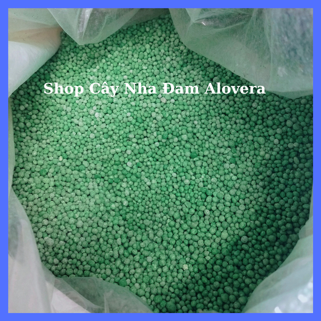 Phân Bón DAP Cao Cấp Cho Mọi Cây Trồng Và Hoa Kiểng (1KG)