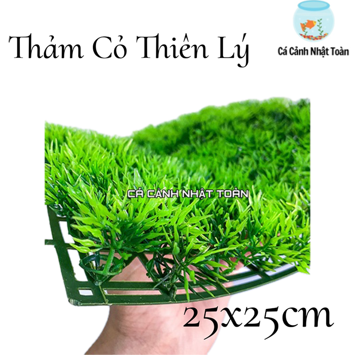 "Hoàn tiền đến 10%" THẢM CỎ NHẬN TẠO MẪU 1 TRANG TRÍ HỒ CÁ LÓT NỀN HỒ CÁ 25X25CM