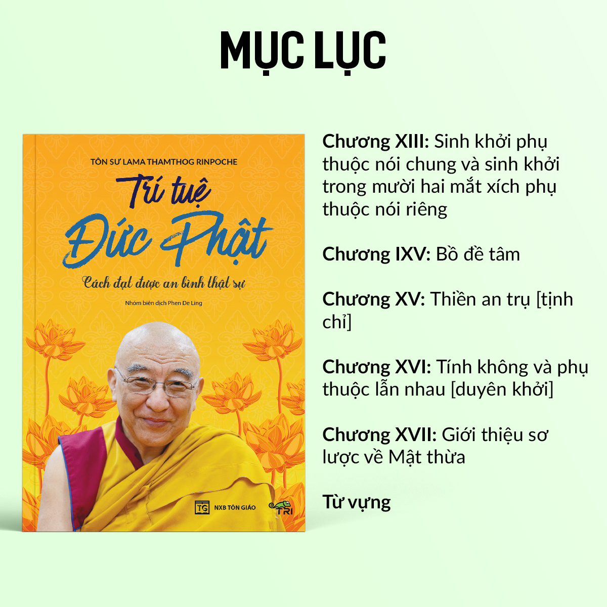 Sách - Trí Tuệ Đức Phật (Lama Thamthog Rinpoche) - Tuệ Tri