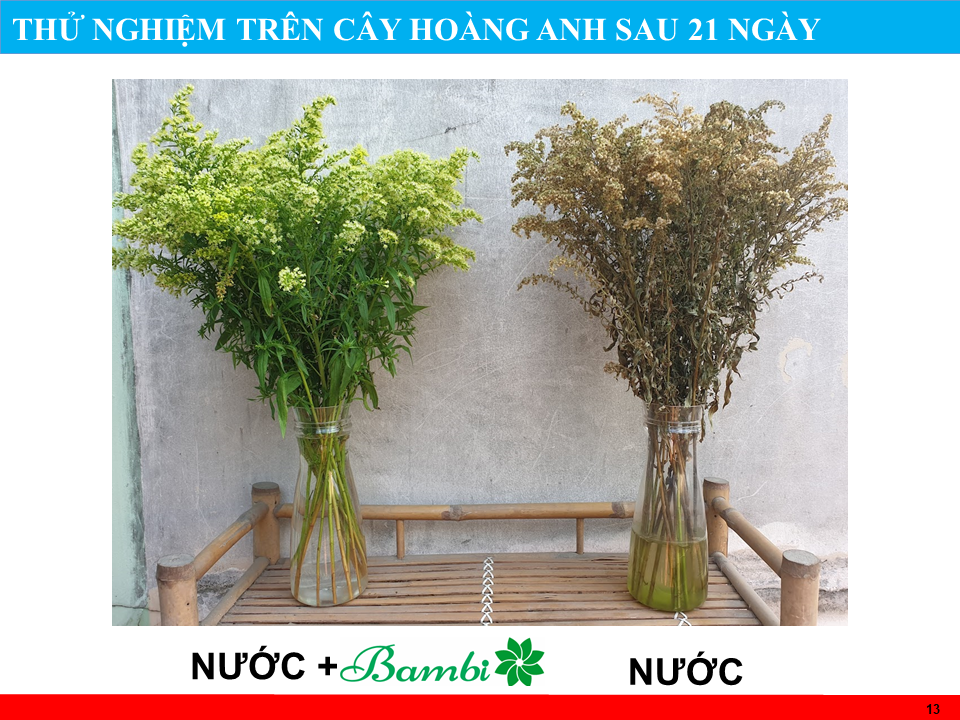 [GIÁ SỈ] Combo 2 chai nước dưỡng hoa 900ml