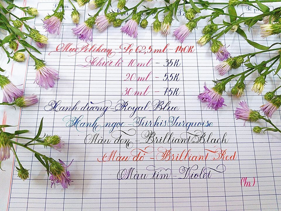 💥 Mực bút máy pelikan lọ 62.5ml