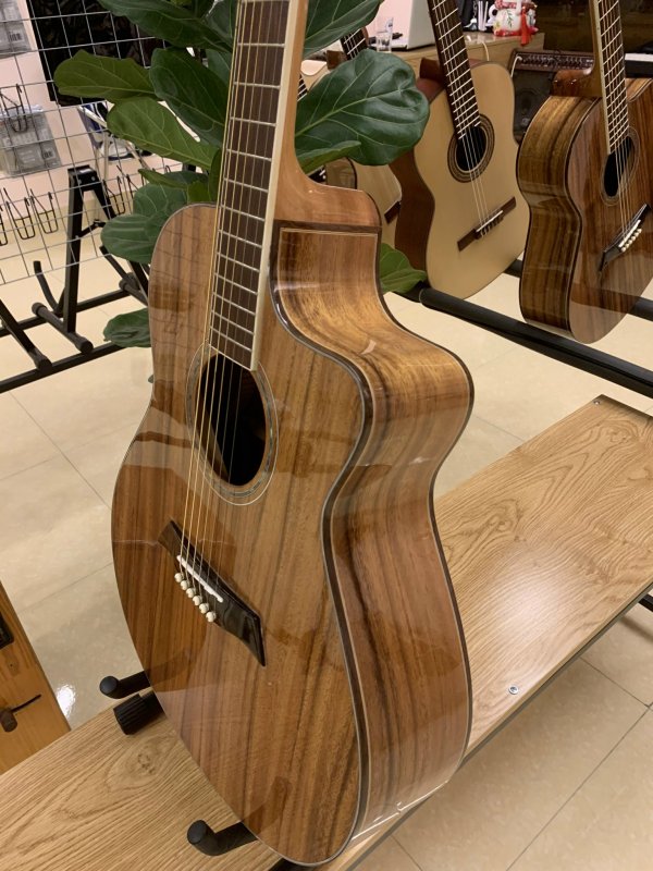 Đàn guitar Acoustic  Model: GTS - FAD.