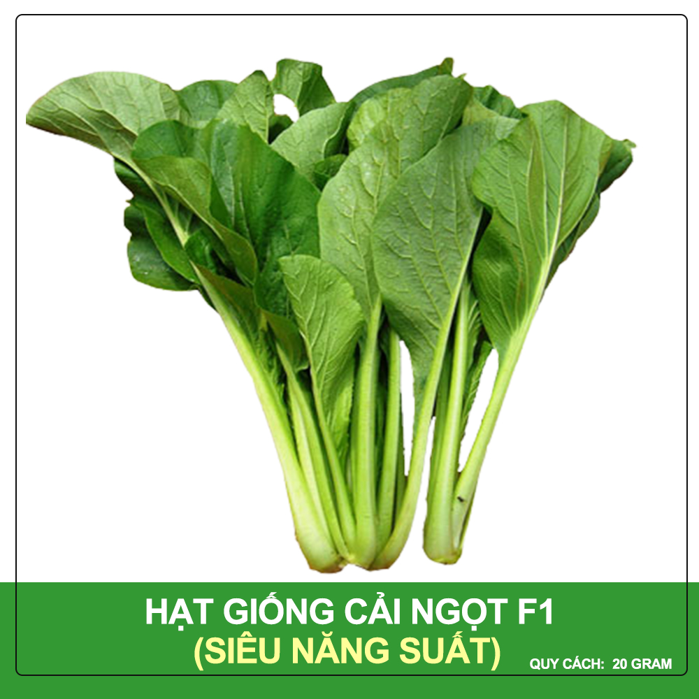 Hạt Giống Cải Ngọt Cao Sản Phú Nông Gói 20 Gram