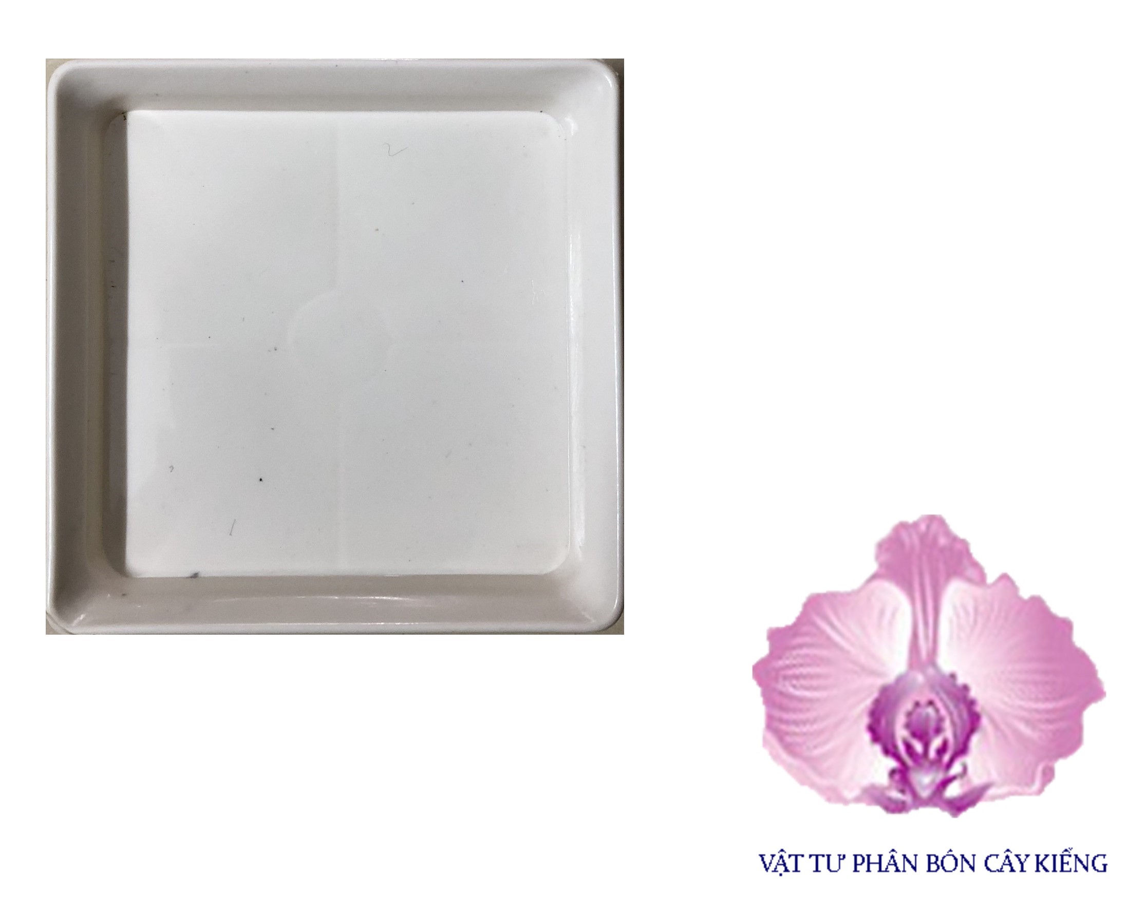Đĩa lót chậu Vuông 12cm - #065D#
