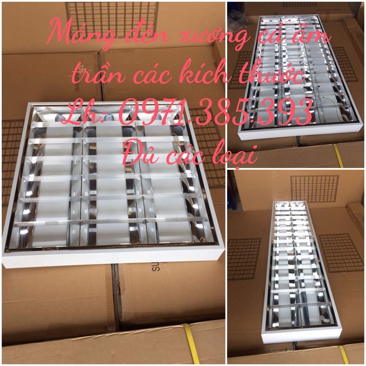 Máng đèn xương cá 300x1200