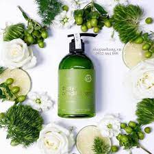 Combo dưỡng tóc - kích mọc tóc Vijully (Dầu gội + Dầu xả dừa + Tinh dầu bưởi) Vi Jully