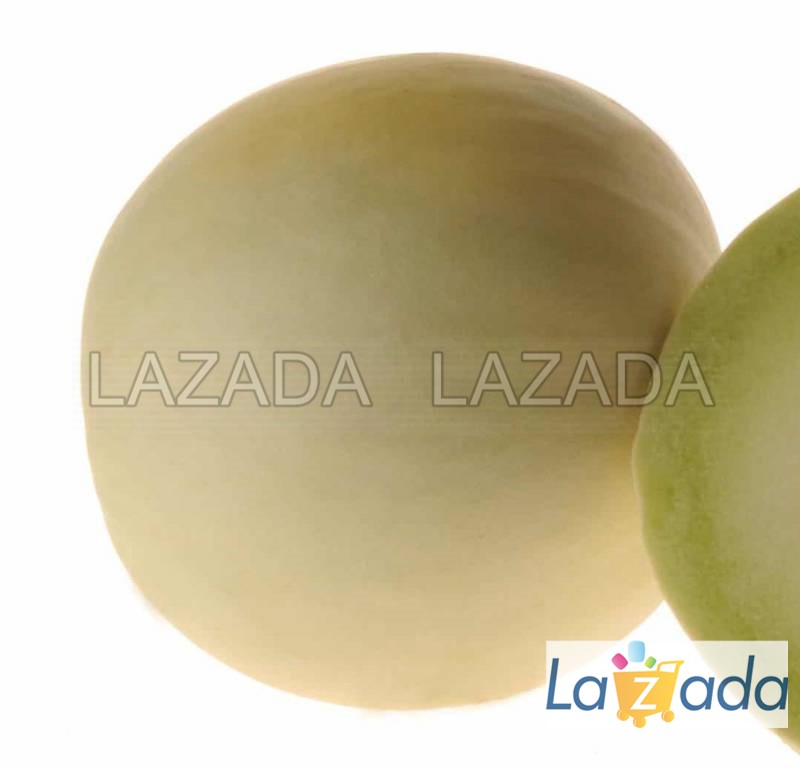 25.HAT Hạt Giống Dưa Lê Siêu Ngọt Brix15 Ship Tốt TG20 (TLA0| A2*V43*M220)