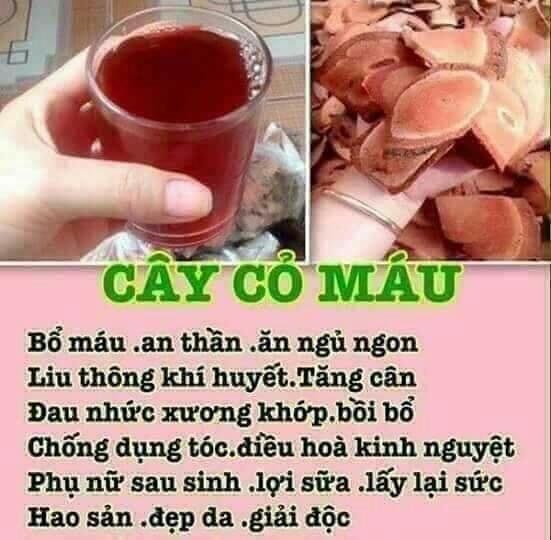 1kg cây cỏ máu